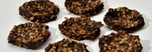 cookies crackers de graines germées crues biologiques raw organic sprouted seeds cacao cookies
