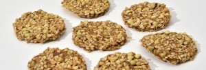 crackers de graines germées crues biologiques raw organic sprouted sedds crackers