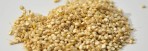 Graines germées de Quinoa biologique, déhydraté, cru