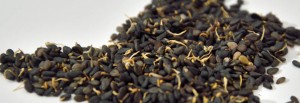 graines germées de sésame cru biologique raw organic sesame sprouted seeds