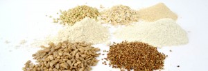 graines germées farines graines germées cru bio raw organic